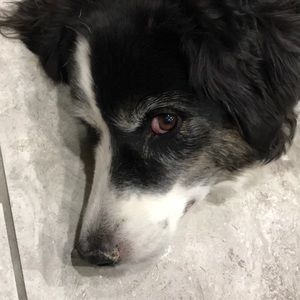 Meet your Posher, Kris